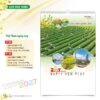 Lịch Treo Tường 2027 HT Mẫu HT39 (40 x 60cm) Quà Tặng Tri Ân Ngành Giáo Dục & Nhà Trường in logo doanh nghiệp quà tặng Tết tại Quà Tặng Giáo Dục VN