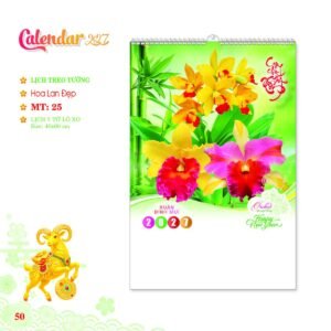 Lịch Treo Tường Lò Xo 2027 MT Mẫu MT25 (40 x 60cm) Quà Tặng Tri Ân Ngành Giáo Dục & Nhà Trường in logo doanh nghiệp quà tặng Tết tại Quà Tặng Giáo Dục VN