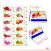 Lịch Để Bàn 2027 MT Mẫu MT49 (24 x 17cm) Quà Tặng Tri Ân Ngành Giáo Dục & Nhà Trường in logo doanh nghiệp quà tặng Tết tại Quà Tặng Giáo Dục VN